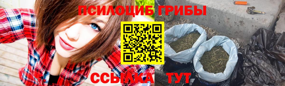 Псилоцибиновые грибы MAGIC MUSHROOMS  Галлюциногенные грибы Magic Shrooms  Заводоуковск  Вход с VPN 